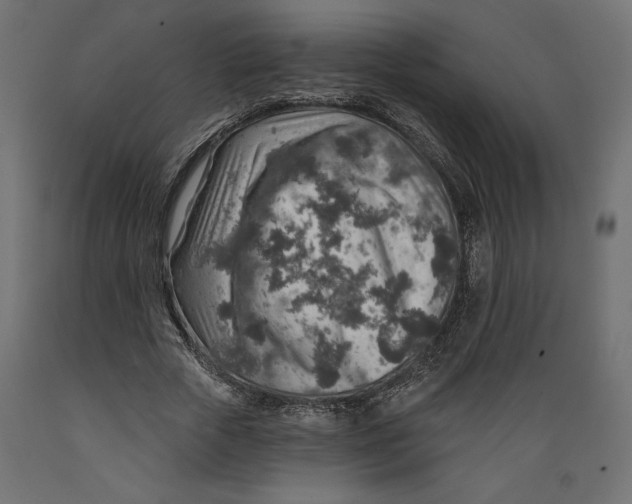 X0000088870729200707061347