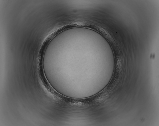 X0000088870730200707061347