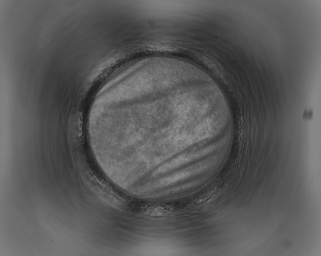 X0000088870731200707061347