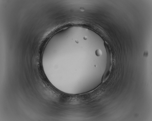 X0000088870732200707061347