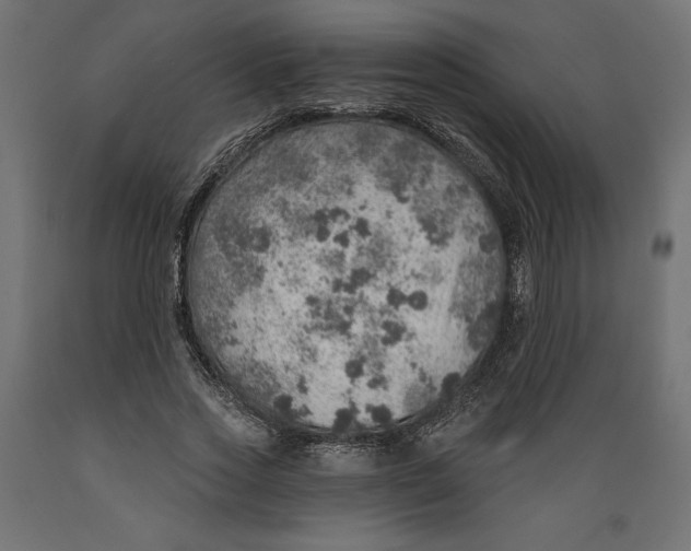 X0000088870733200707061347