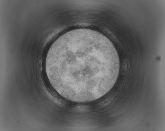 X0000088870734200707061347