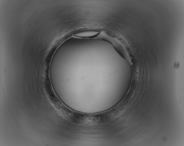 X0000088870736200707061347