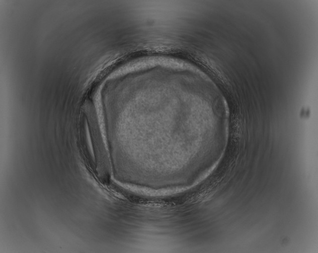 X0000088870738200707061347