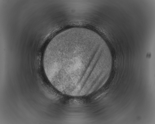 X0000088870739200707061347