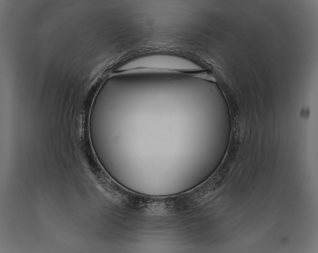 X0000088870740200707061347