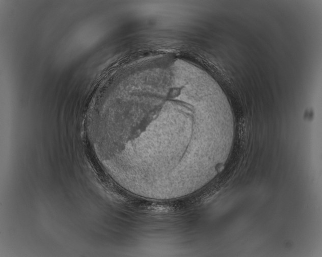 X0000088870741200707061347