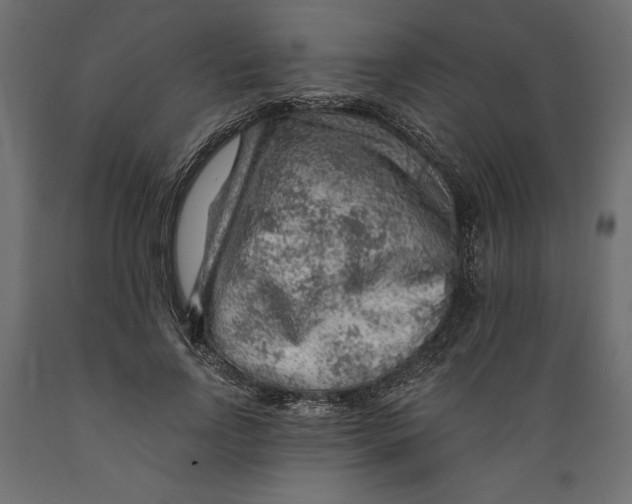 X0000088870742200707061347