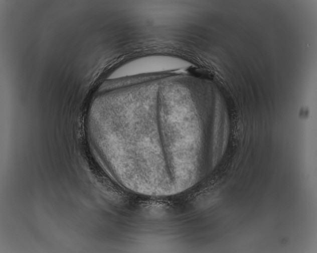 X0000088870743200707061347