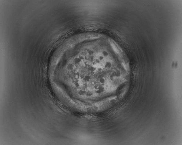 X0000088870745200707061347