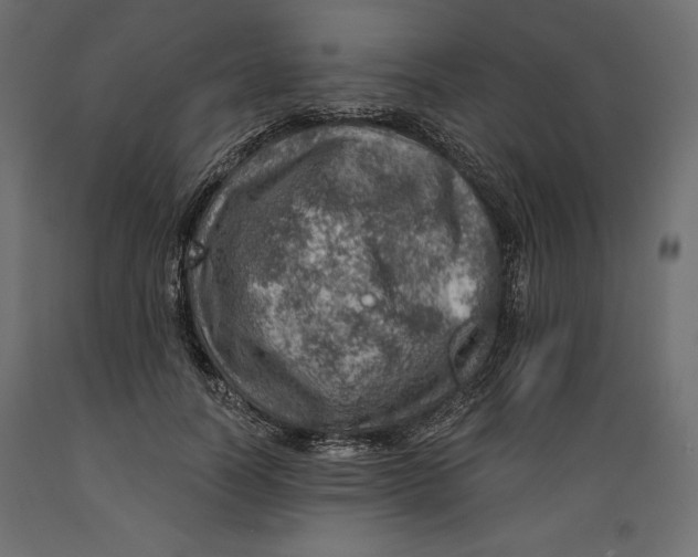X0000088870746200707061347