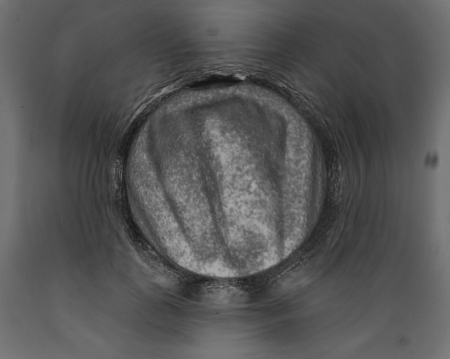 X0000088870747200707061347