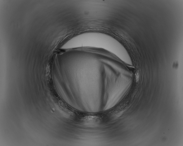 X0000088870748200707061347