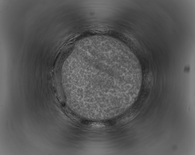 X0000088870749200707061347
