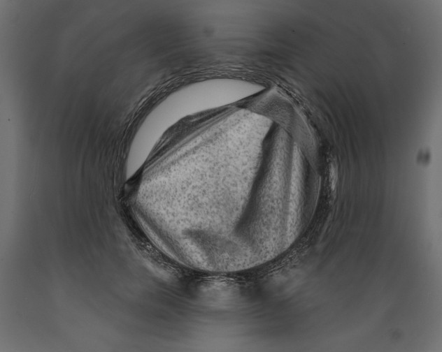 X0000088870750200707061347
