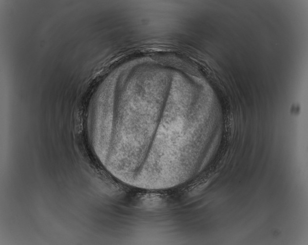 X0000088870751200707061347