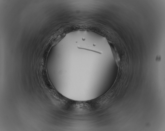 X0000088870752200707061347