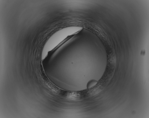 X0000088870754200707061347