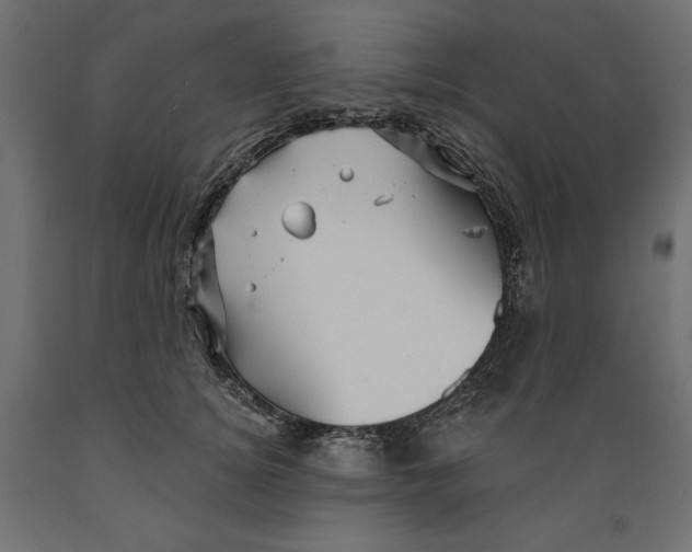 X0000088870756200707061347