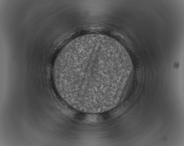 X0000088870757200707061347