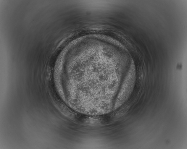 X0000088870758200707061347