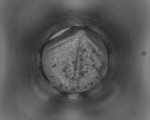 X0000088870761200707061347