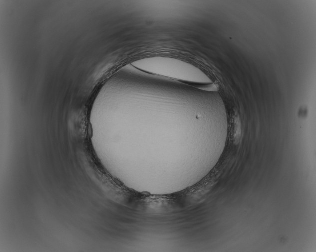 X0000088870762200707061347