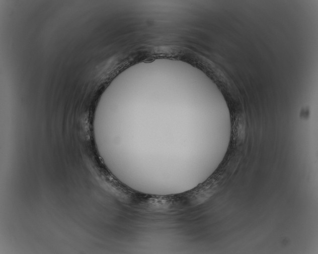 X0000088870764200707061347
