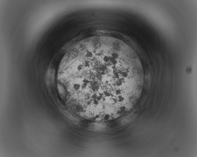 X0000088870765200707061347