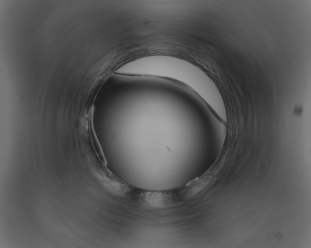 X0000088870766200707061347