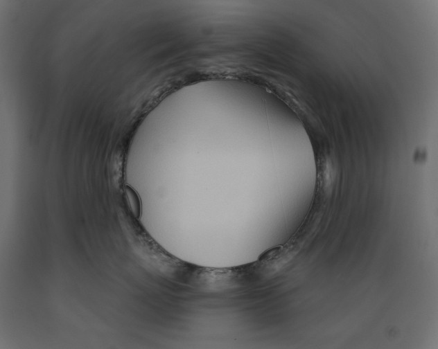 X0000088870767200707061347