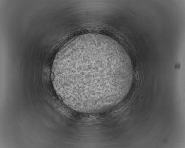 X0000088870772200707061347