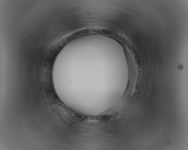 X0000088870773200707061347