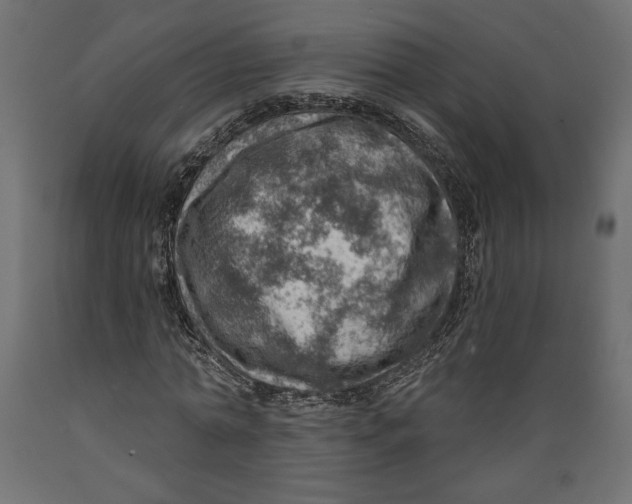 X0000088870774200707061347