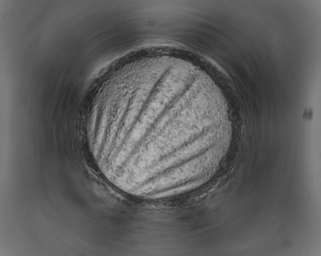 X0000088870775200707061347
