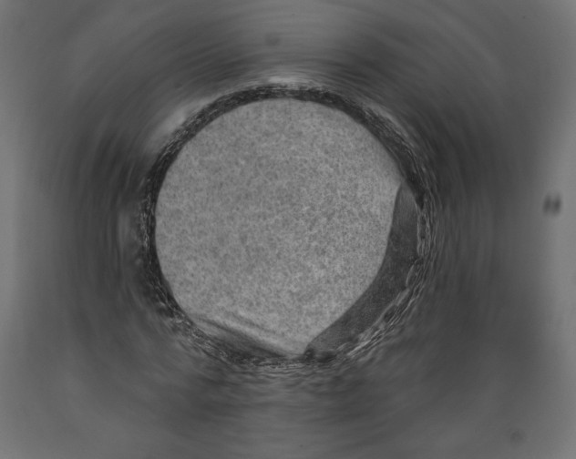 X0000088870776200707061346