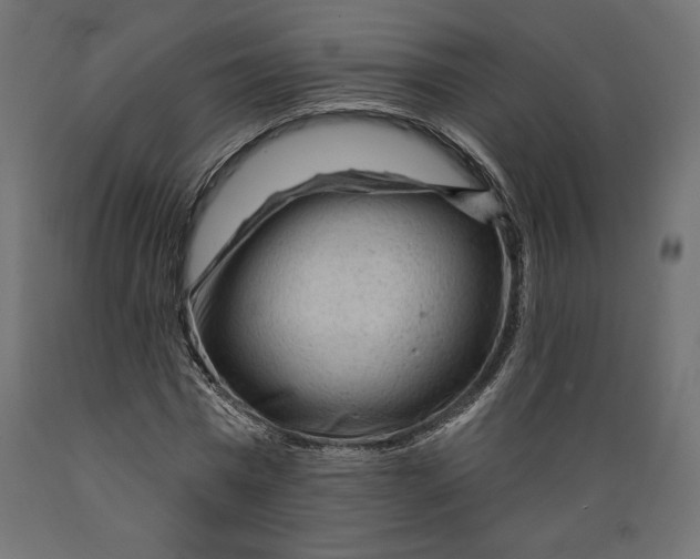 X0000088870777200707061346