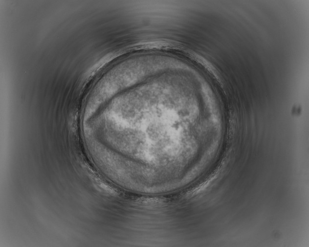 X0000088870778200707061346