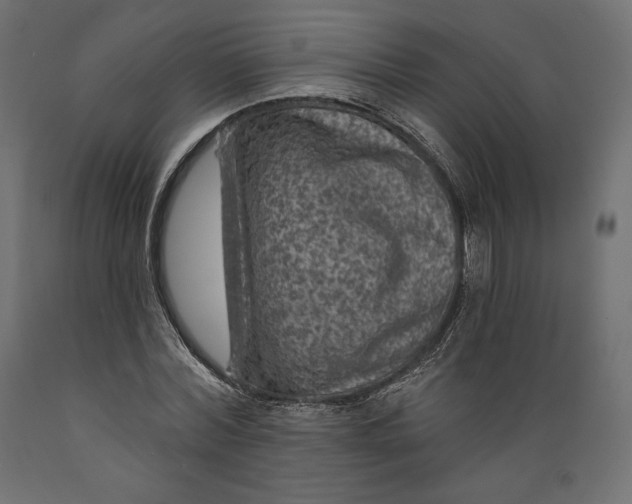 X0000088870780200707061346