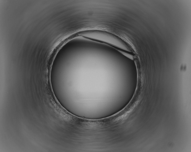 X0000088870781200707061346