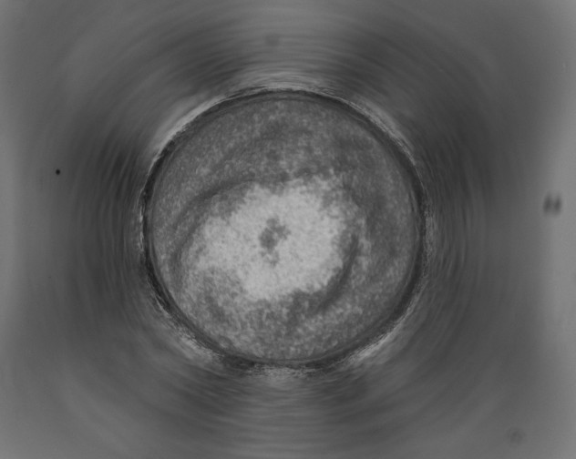 X0000088870782200707061346