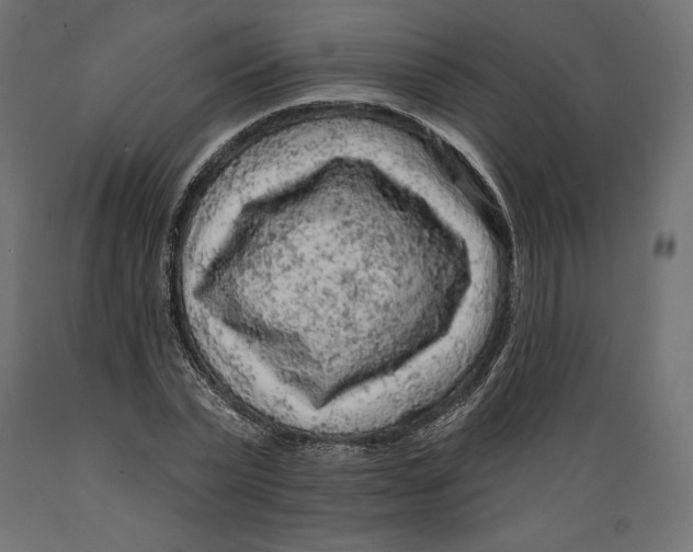 X0000088870783200707061346