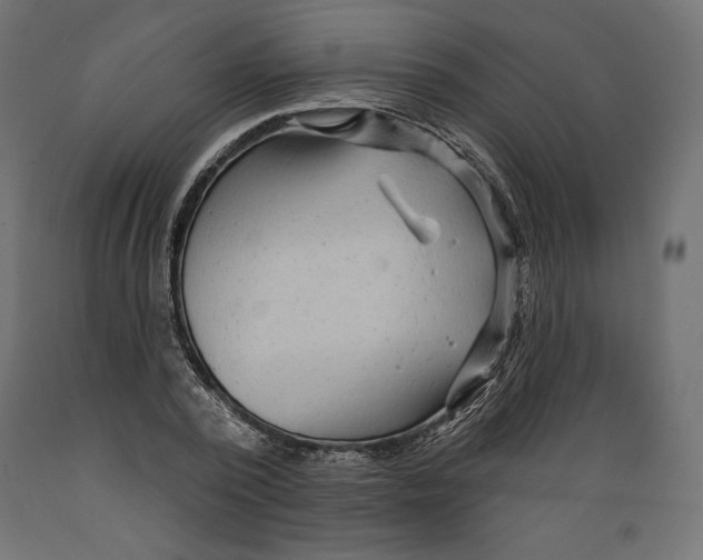 X0000088870784200707061346