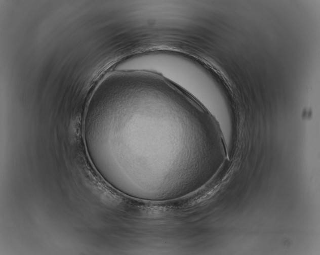 X0000088870785200707061346