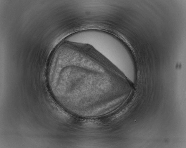 X0000088870786200707061346