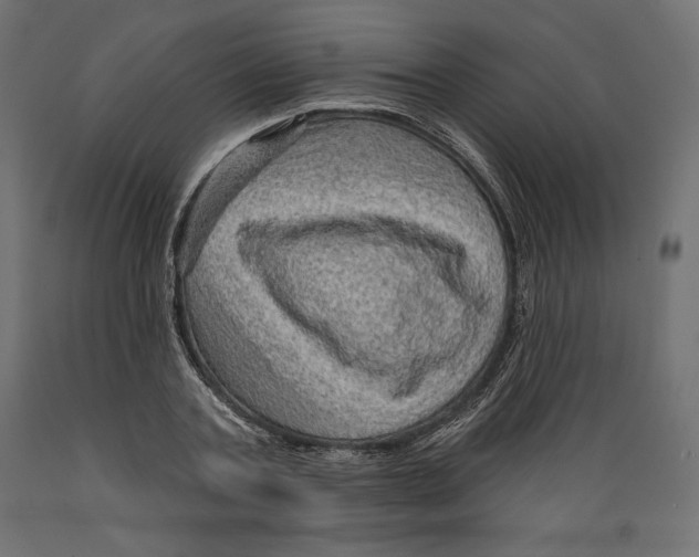 X0000088870787200707061346