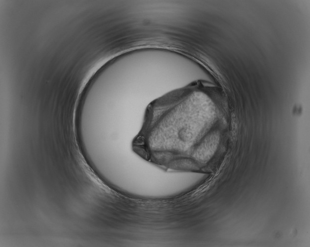 X0000088870788200707061346