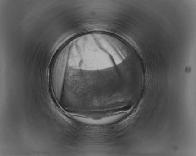 X0000088870790200707061346