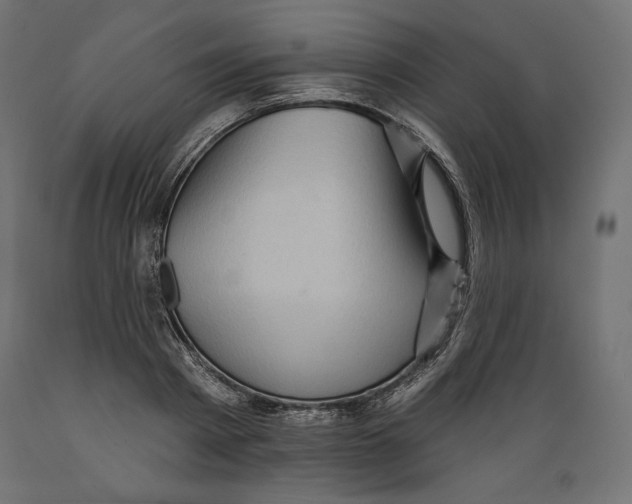 X0000088870793200707061346