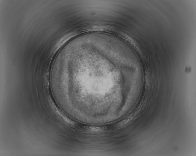 X0000088870794200707061346